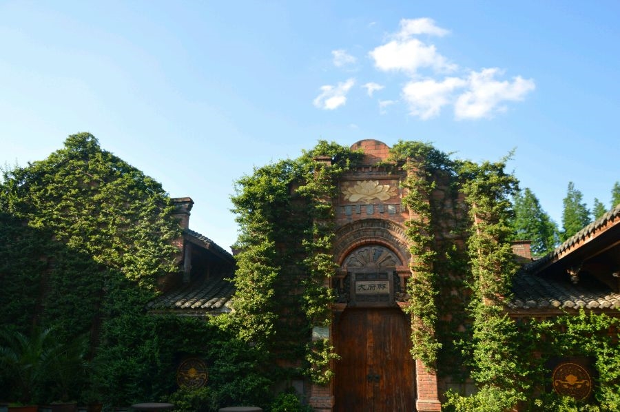 四川国际标榜职业学院 